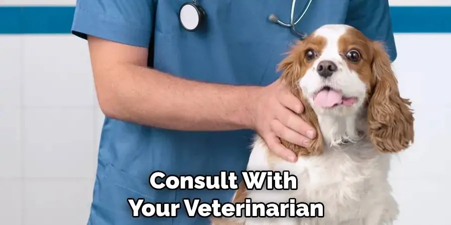 Consult With Your Veterinarian