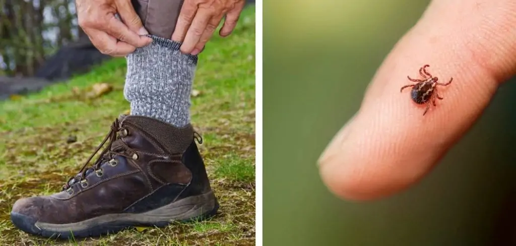 How to Avoid Ticks While Hiking