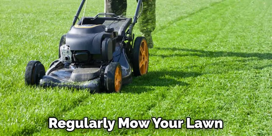 Regularly Mow Your Lawn