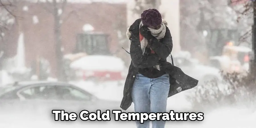 The Cold Temperatures