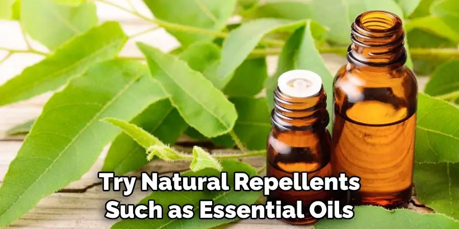 Try Natural Repellents Such as Essential Oils