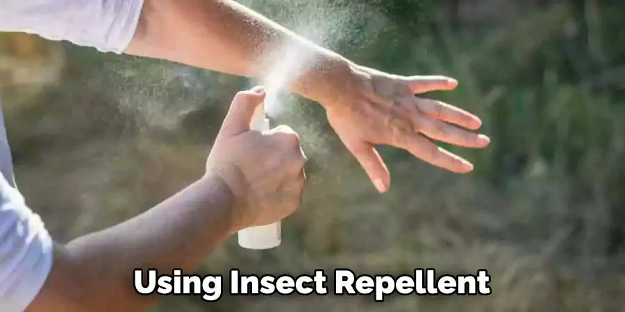 Using Insect Repellent