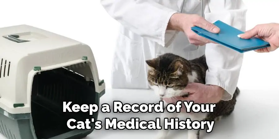 Keep a Record of Your Cat's Medical History