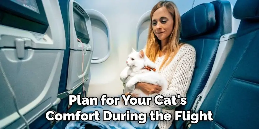 Plan for Your Cat's Comfort During the Flight