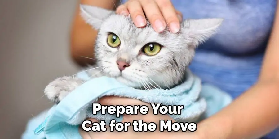 Prepare Your Cat for the Move